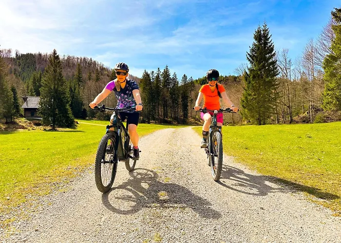 Bergmann ابينسي