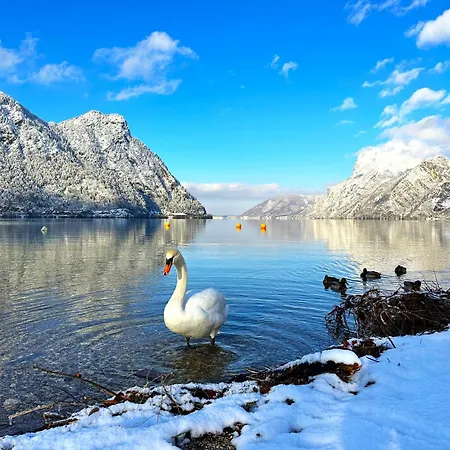 Bergmann Апартаменты