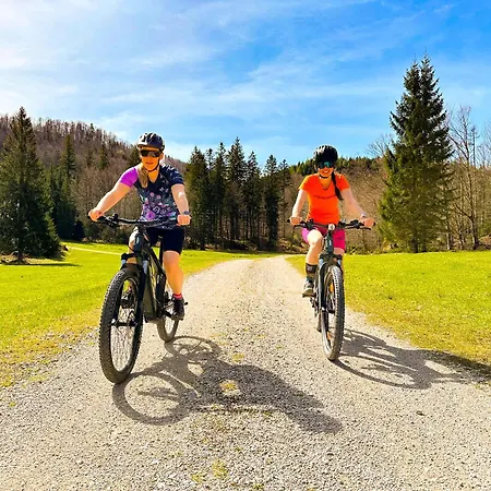 Bergmann Эбензее